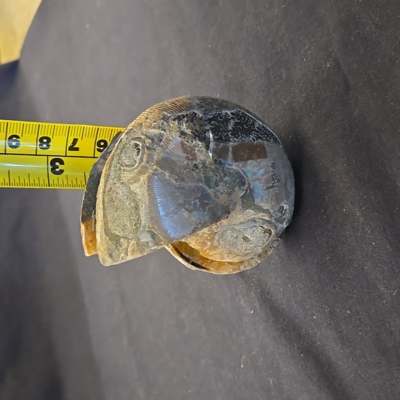 Ammonite With Beautiful Flashes - Picture 3 of 4